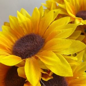 Meet your Posher, Lena